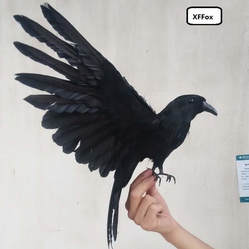 Simulation wings crow - wings,