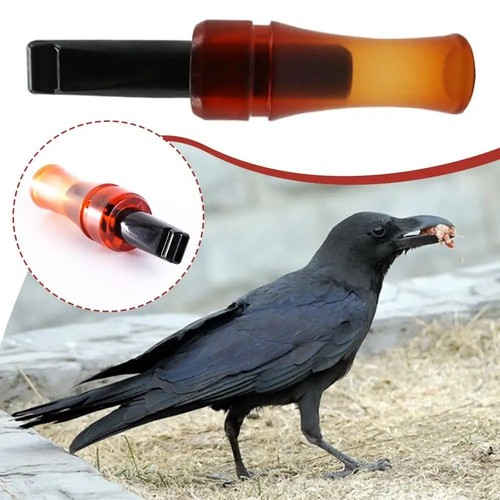 Crow call caller to - crow,