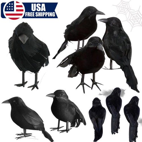 Halloween lifelike black - halloween,