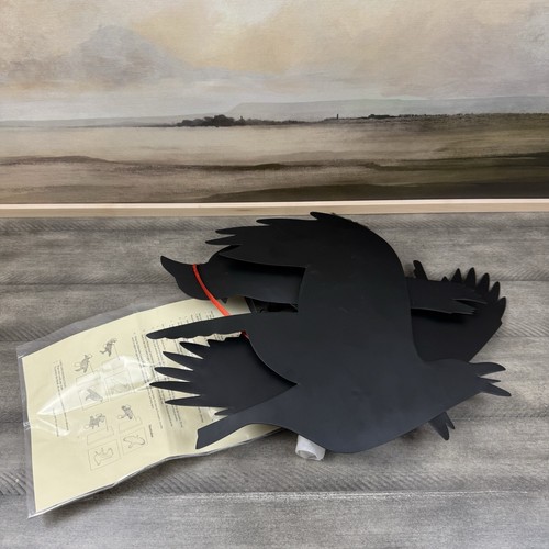 Pottery barn black crows - black,