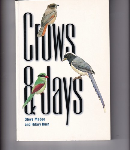 Crows and jays steve madge - by,