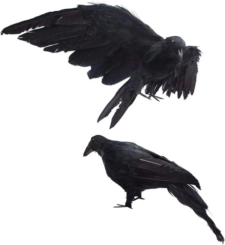 Pack realistic crows - 2-pack,