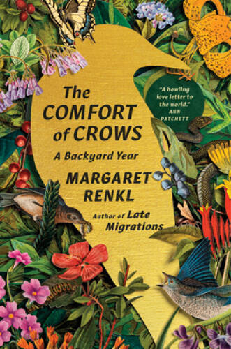 The comfort crows a - the,