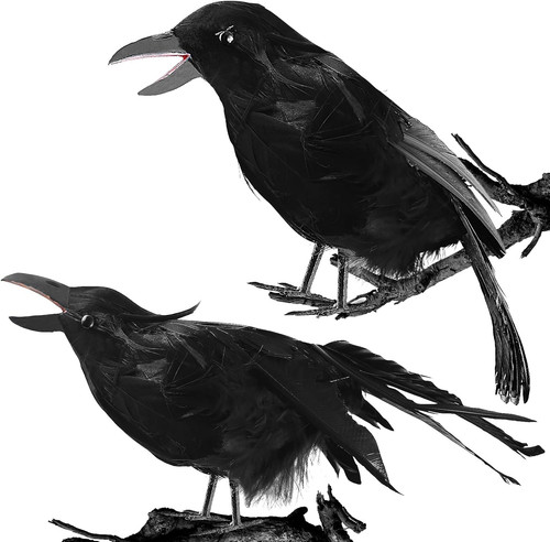 Crows halloween decorations - crows,