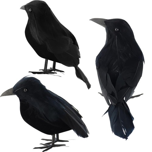 Pcs black feathered - 3,