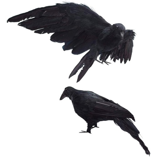 Pack halloween crows - pack,