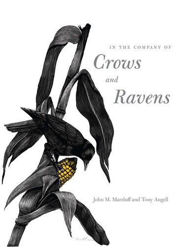The company crows and - in,