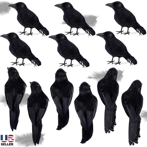 18pcs halloween crow - 18pcs,