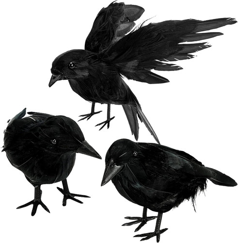 Halloween crow decorations - halloween,