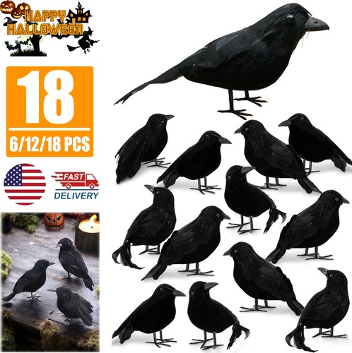 Pcs black feathered crows - black,